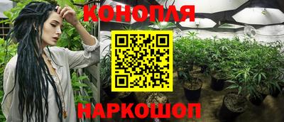 ГАЛЛЮЦИНОГЕННЫЕ ГРИБЫ Бийск