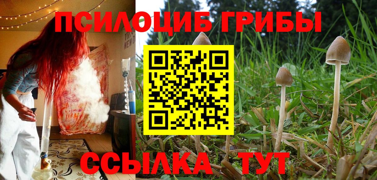 Галлюциногенные грибы Magic Shrooms  Вход с VPN  Киселёвск 